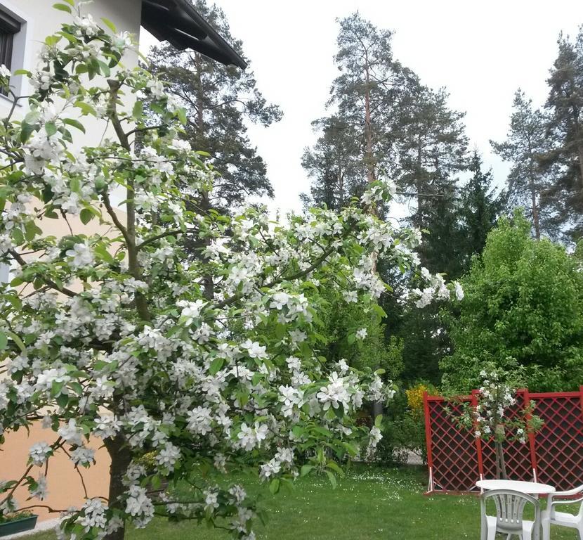 Ferienwohnung Kerth Sankt Kanzian am Klopeiner See Εξωτερικό φωτογραφία